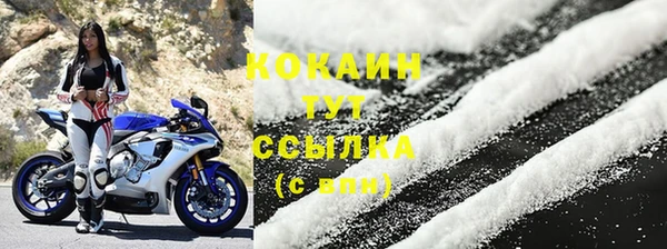 ПСИЛОЦИБИНОВЫЕ ГРИБЫ Дмитров
