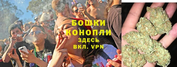 ПСИЛОЦИБИНОВЫЕ ГРИБЫ Дмитров