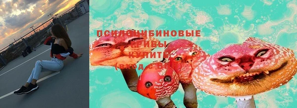 ПСИЛОЦИБИНОВЫЕ ГРИБЫ Дмитров