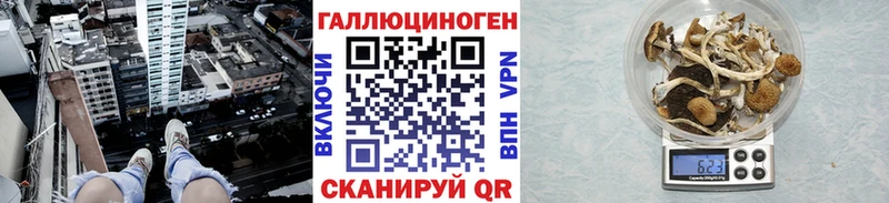 Псилоцибиновые грибы Psilocybine cubensis  Купить  Верхний Тагил 